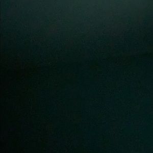 Meet your Posher, Jerry